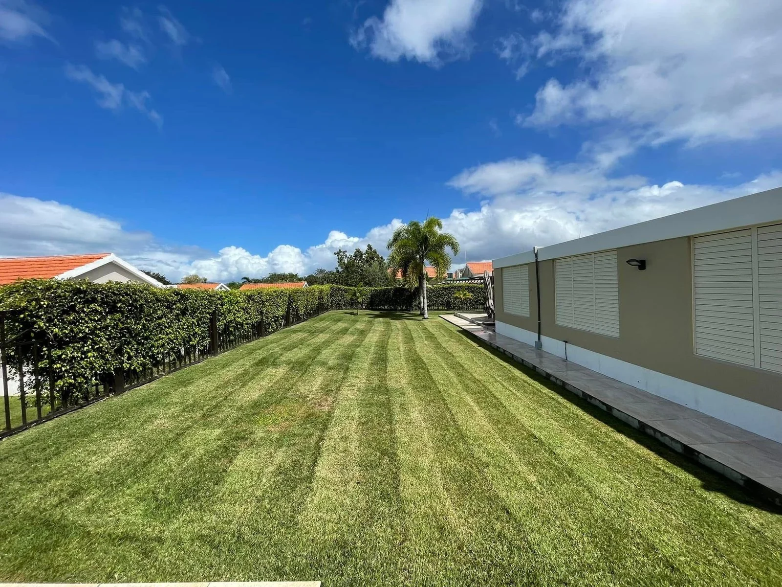 Patio residencial con corte de línea