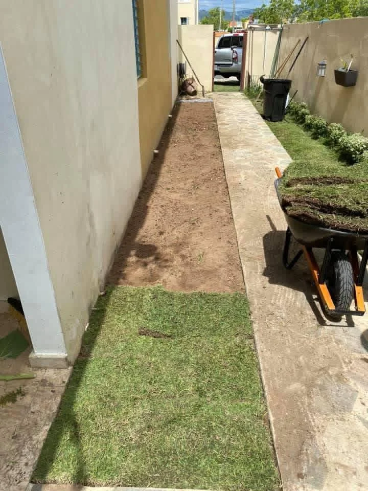 Instalación de grama en paños